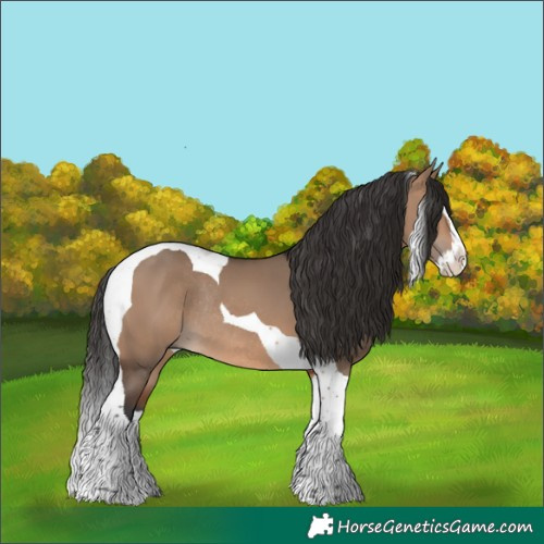 Horse Color:Brown Dun Splash Tobiano Rabicano 
