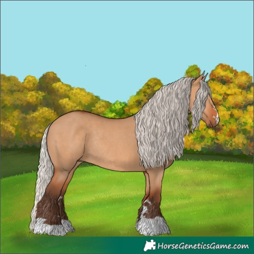 Horse Color:Silver Bay Dun Rabicano 