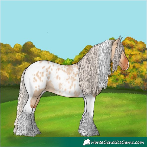 Horse Color:Silver Bay Dun Tobiano Appaloosa Rabicano 