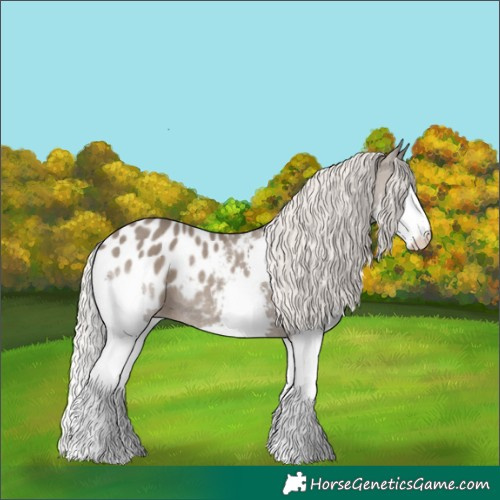 Horse Color:Silver Grullo Sabino Splash Appaloosa Rabicano 
