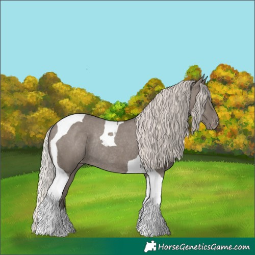 Horse Color:Silver Grullo Tobiano Appaloosa Rabicano 