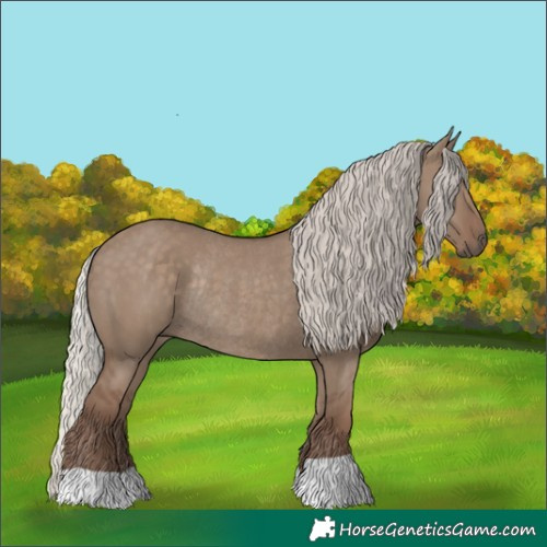 Horse Color:Silver Grullo Rabicano 