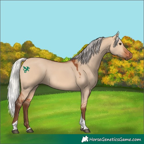Horse Color:Silver Bay Dun Tobiano Rabicano 