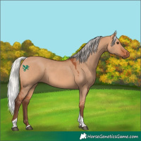 Horse Color:Silver Bay Dun Tobiano Rabicano 