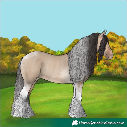 Horse Color:Bay Dun Tobiano Rabicano 