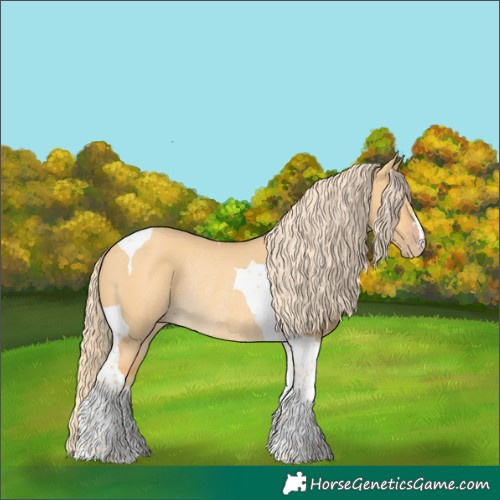 Horse Color:Gold Cream Champagne Dun Tobiano Rabicano 