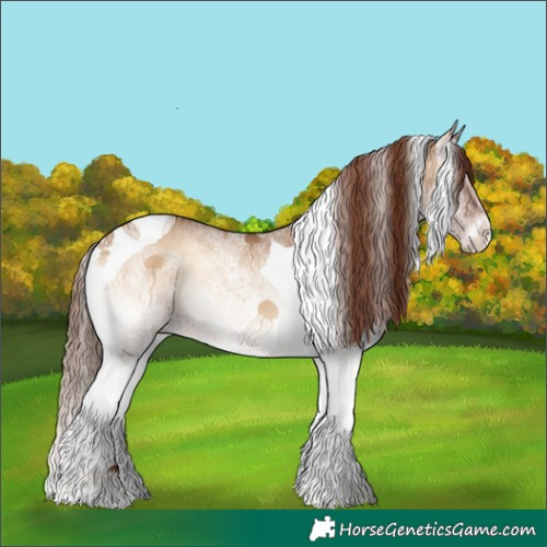 Horse Color:White Spotted Red Dun Onyx Tobiano 