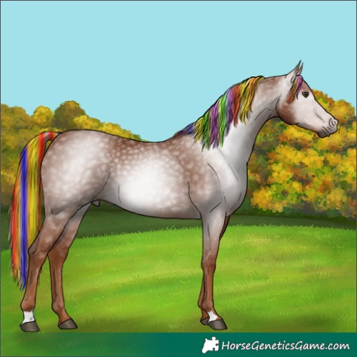 Horse Color:Gray Painted Chestnut 