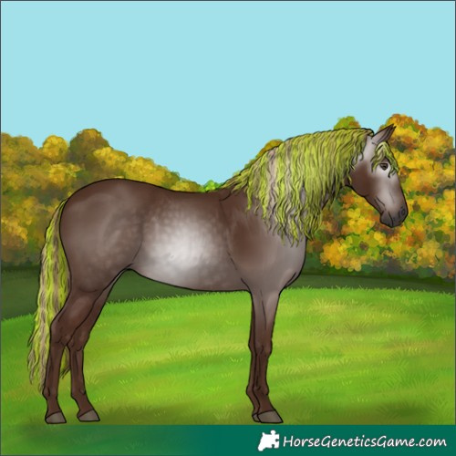 Horse Color:Gray Painted Chestnut