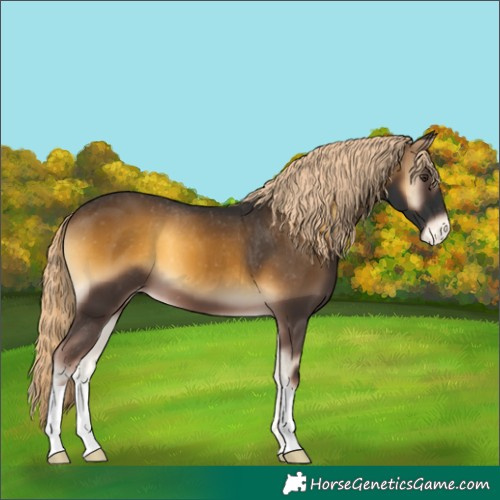 Horse Color:Chocolate Palomino Onyx Varnish 