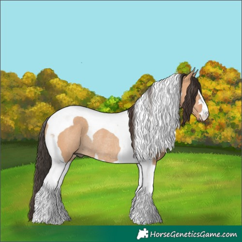 Horse Color:Bay Dun Tobiano Rabicano 