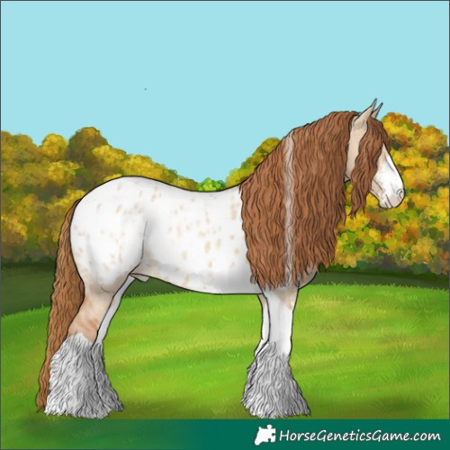Horse Color:Red Dun Ice Sabino Tobiano Appaloosa Rabicano 