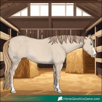 Horse Color:Smoky Creme Dun
