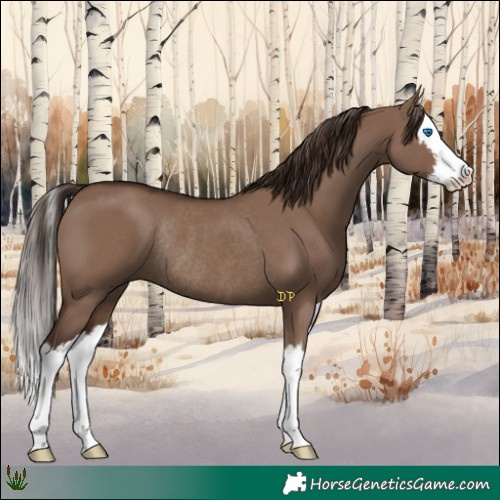 Horse Color:White Spotted Liver Red Dun Splash Rabicano 