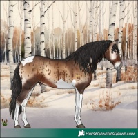 Horse Color:Liver Red Onyx Tobiano