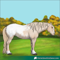 Horse Color:Red Dun Snowcap 