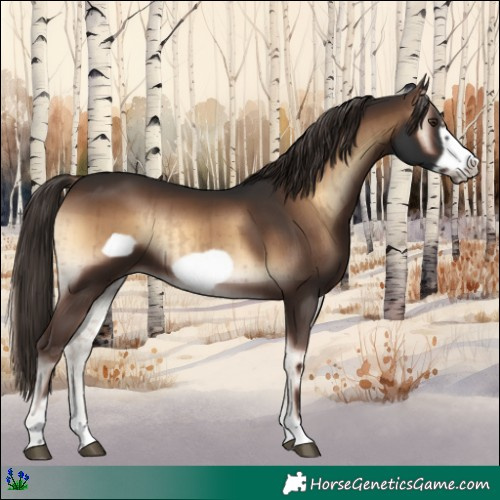 Horse Color:Liver Red Onyx Frame Brindle 