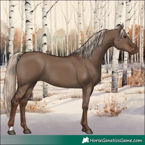 Horse Color:Liver Red Dun