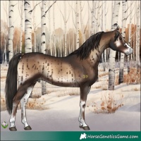 Horse Color:Liver Red Onyx