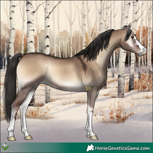 Horse Color:Liver Red Dun Onyx 