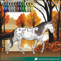 Horse Color:Brown Splash Blanket