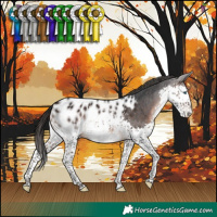 Horse Color:Brown Splash Blanket