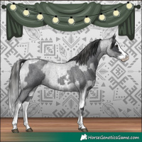 Horse Color:Blue Roan Sabino Splash  and Blue Roan Sabino Splash Varnish 