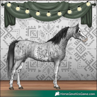 Horse Color:Blue Roan Sabino Splash and Blue Roan Sabino Splash
