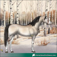 Horse Color:White Spotted Liver Red Dun Onyx