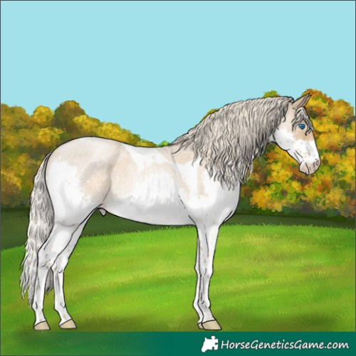 Horse Color:Chocolate Palomino Roan Pearl Mushroom Splash Tobiano 