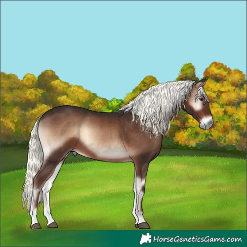 Horse Color:Liver Red Onyx Mushroom 
