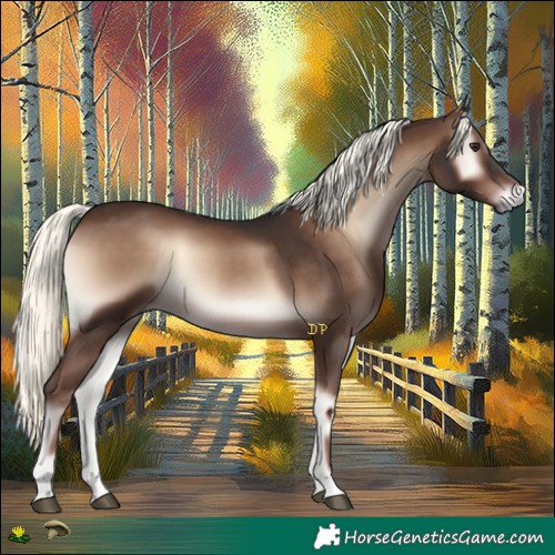 Horse Color:Liver Red Onyx Mushroom
