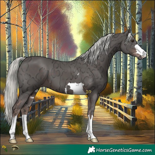 Horse Color:Liver Chestnut Ice Mushroom