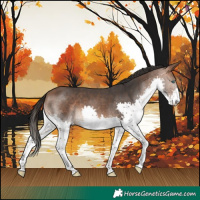 Horse Color:Bay Splash