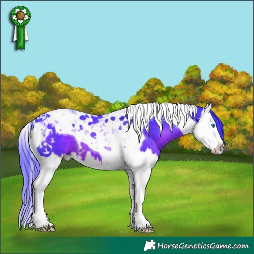 Horse Color:Watercolor Liver Chestnut Splash Tobiano 