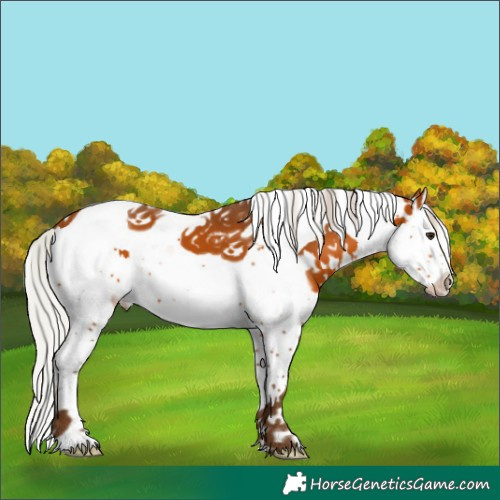 Horse Color:White Spotted Silver Bay Splash Tobiano 