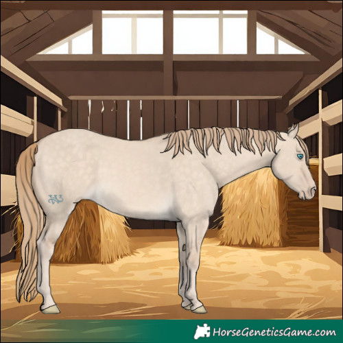 Horse Color:Perlino Dun