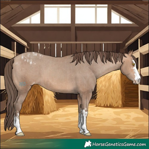 Horse Color:Amber Champagne Varnish  and Amber Champagne Varnish 