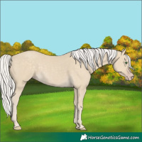 Horse Color:Silver Classic Cream Champagne 