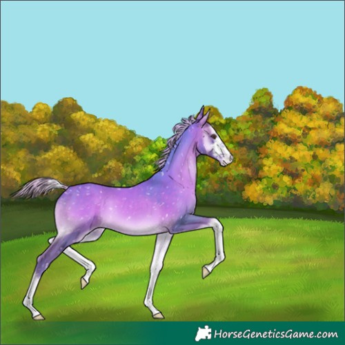 Horse Color:Watercolor White Spotted Silver Blue Onyx Snowflake Varnish