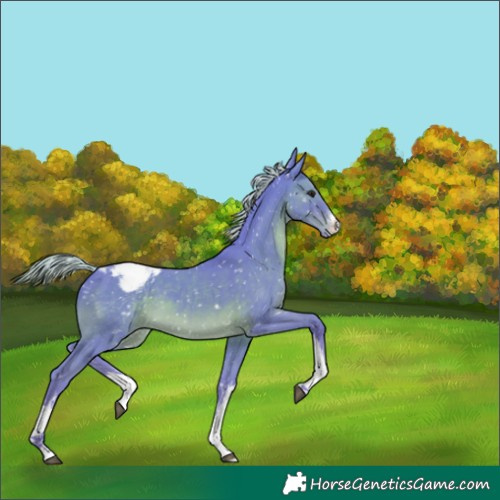 Horse Color:Watercolor White Spotted Silver Black Snowcap 