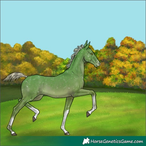 Horse Color:Watercolor White Spotted Silver Black Snowflake Varnish