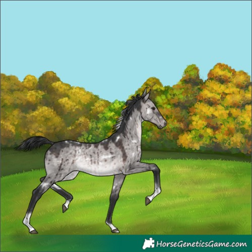 Horse Color:Platinum White Spotted Brown Dun Tobiano Brindle 