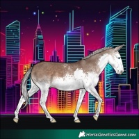 Horse Color:White Spotted Silver Brown Dun Splash 