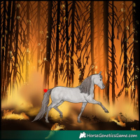 Horse Color:Platinum Liver Red Dun Roan