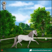 Horse Color:Platinum Liver Red Dun Roan 