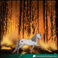 Horse Color:Platinum Liver Red Dun Roan