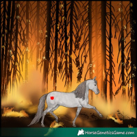 Horse Color:Platinum Liver Red Dun Roan 