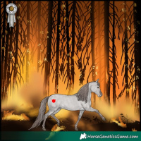 Horse Color:Platinum Liver Red Dun Roan 