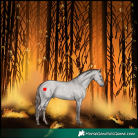 Horse Color:Platinum Liver Red Dun Roan